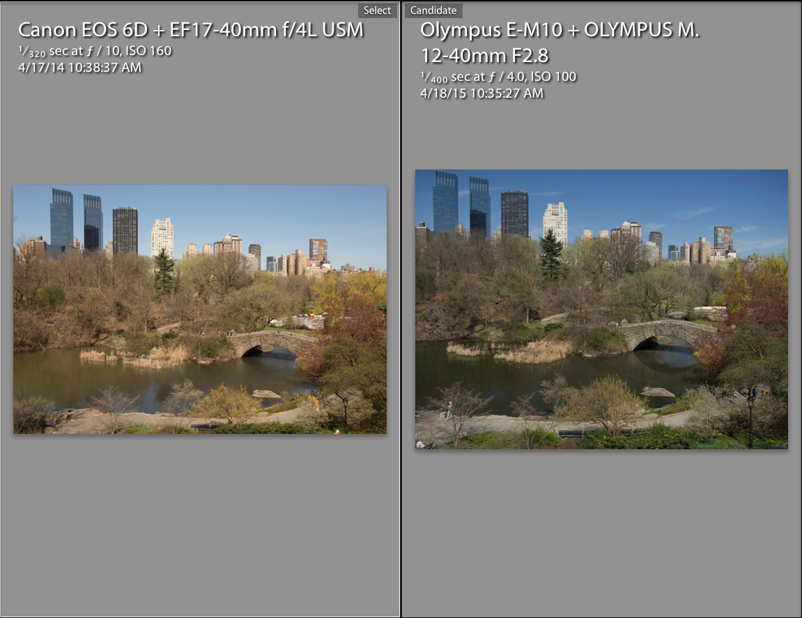 Full Frame vs Micro 4-3 Revisited with Pro Olympus Lens