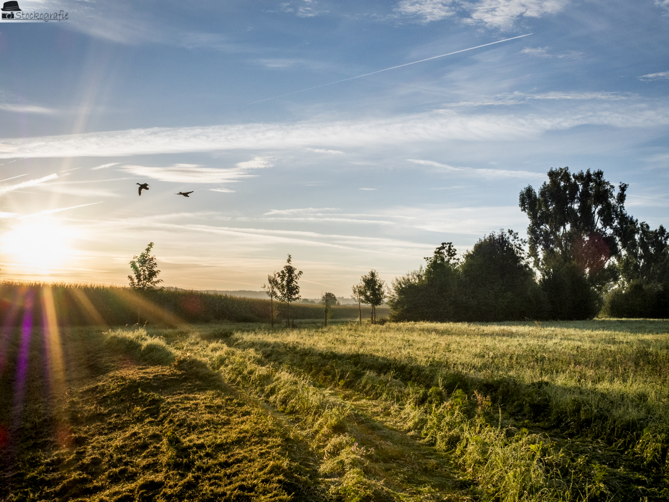 Why I have fallen in love with Micro Four Thirds