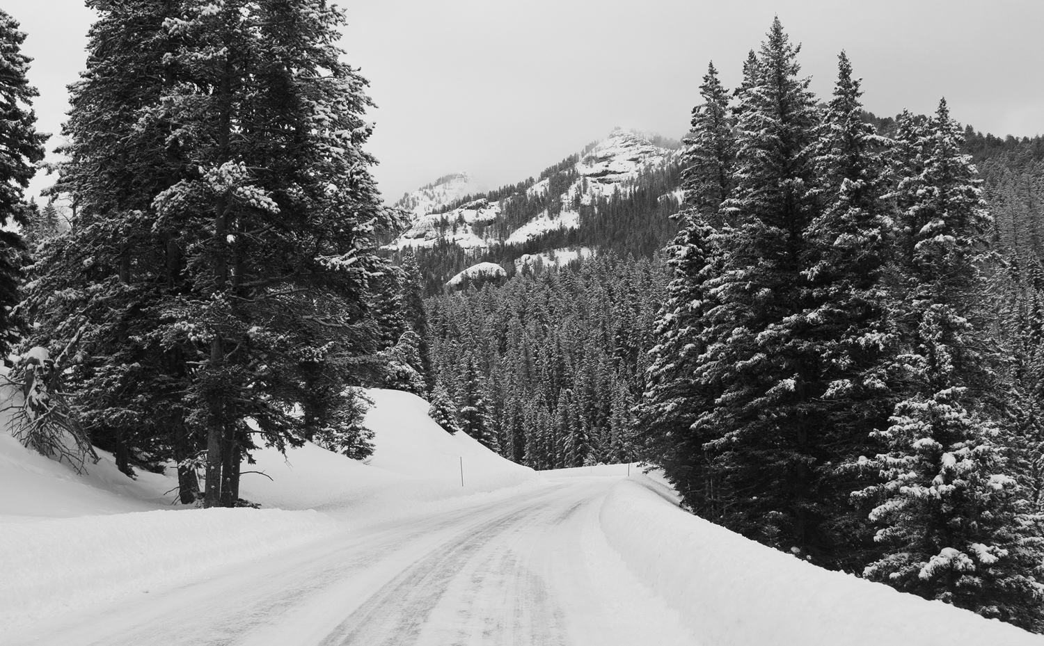 Yellowstone – Winter 2018 with Olympus gear