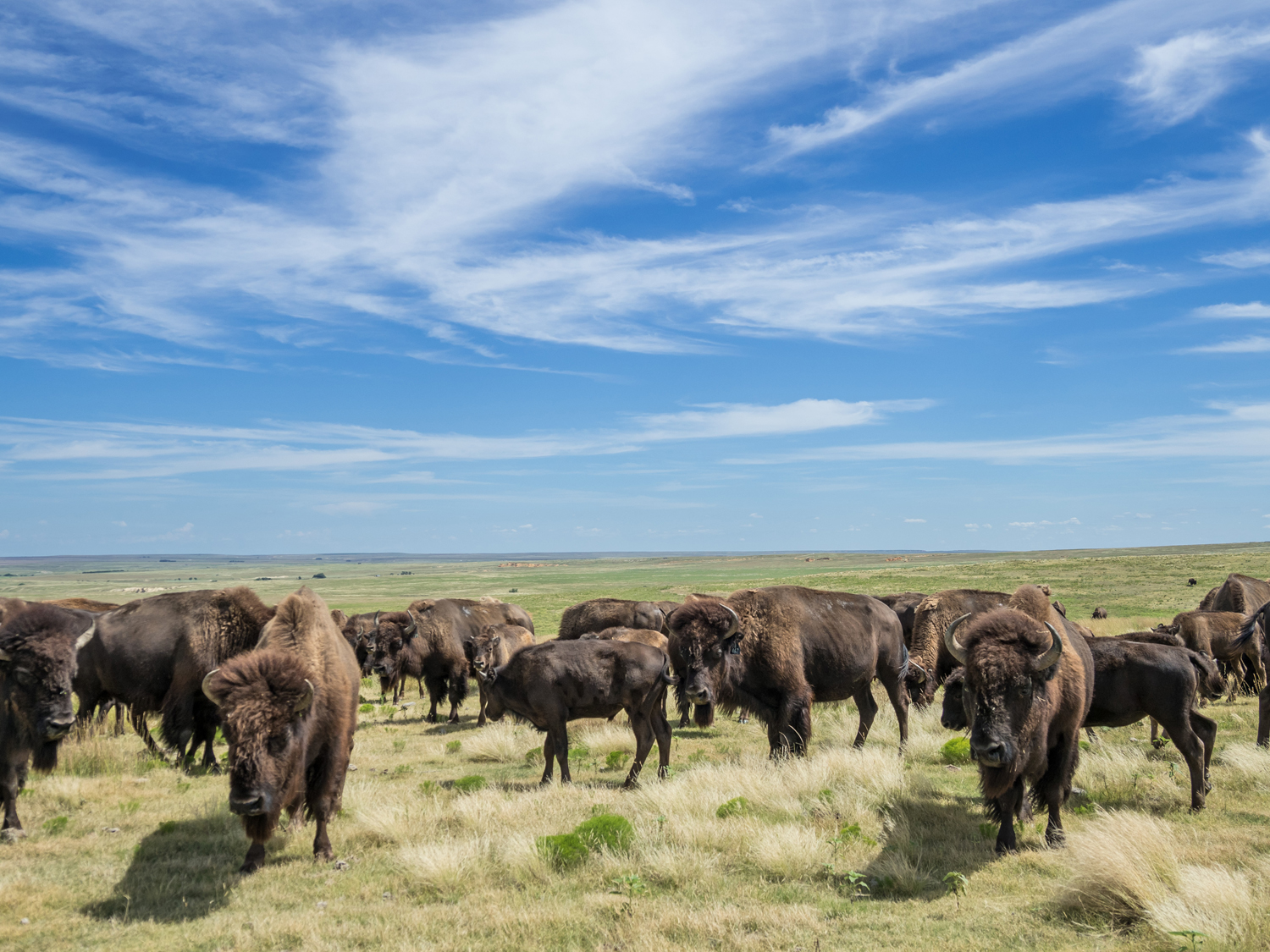 On Assignment with Olympus Mirrorless – The Nature Conservancy of Kansas