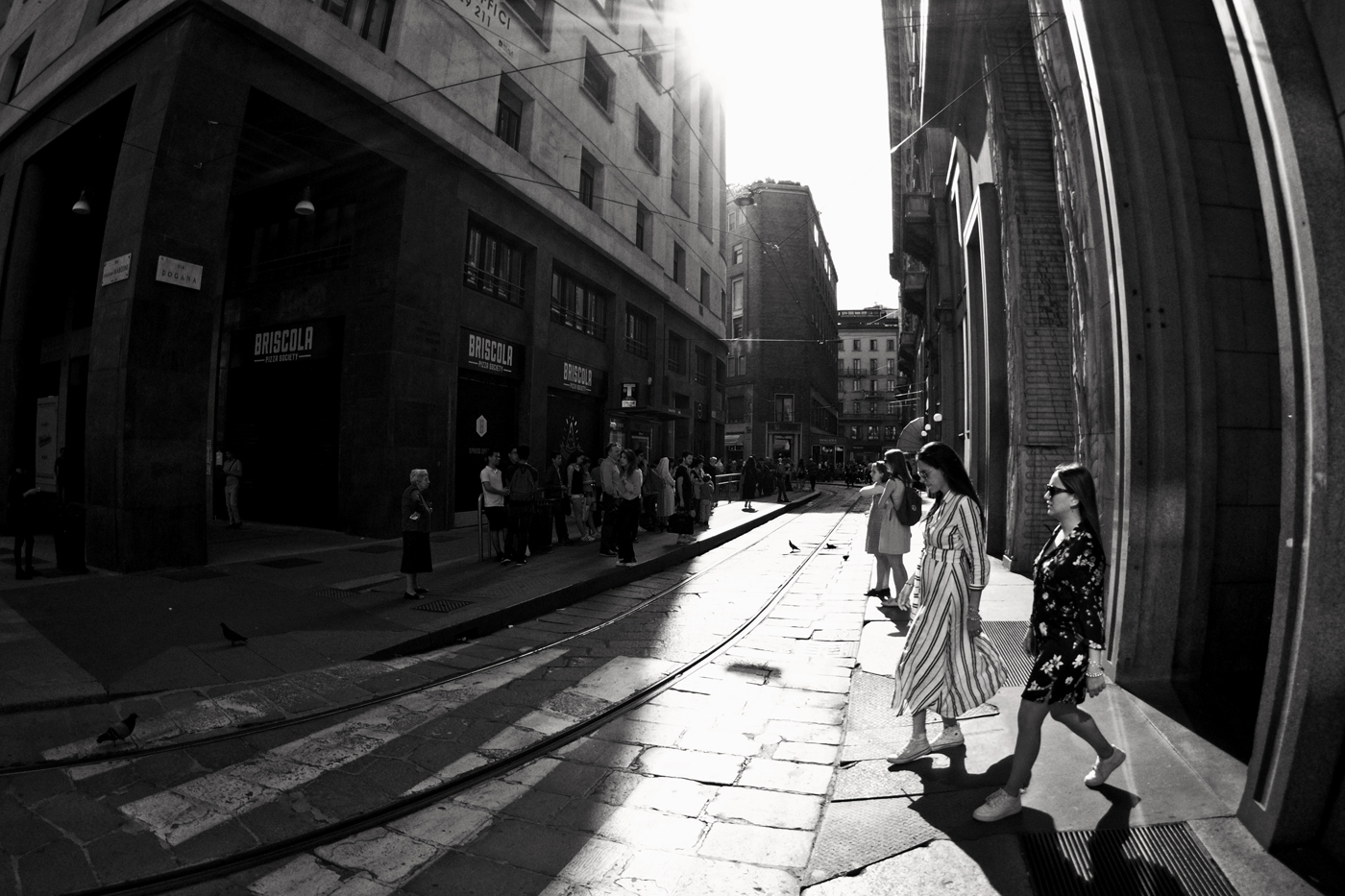olympus 9mm lens