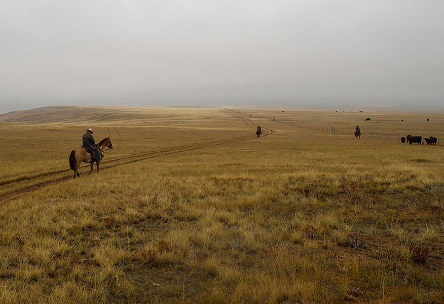 “Last Cowboy” project with Olympus gear