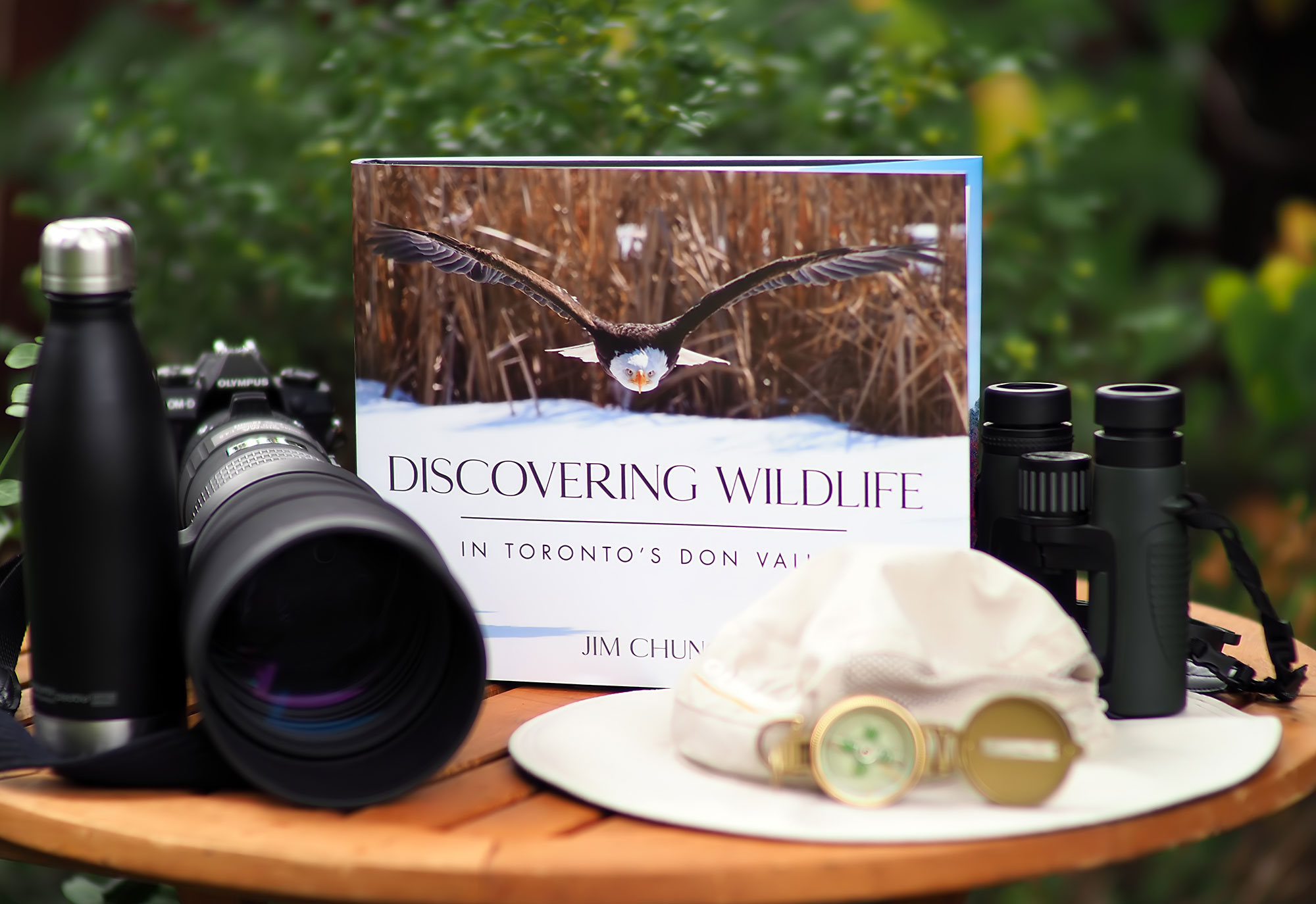 A M43 coffee table book