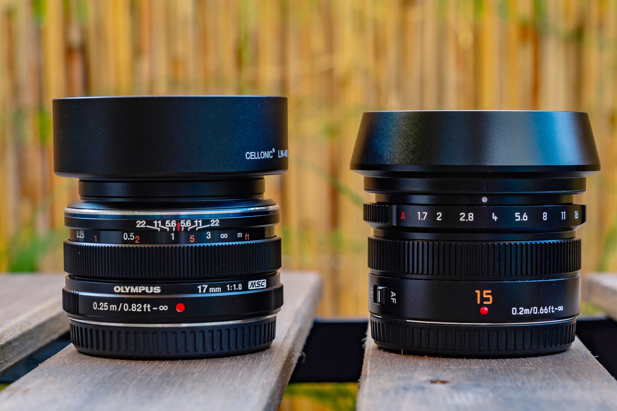 Through the eyes of unrelated twins: Comparing the M.Zuiko 17mm F1