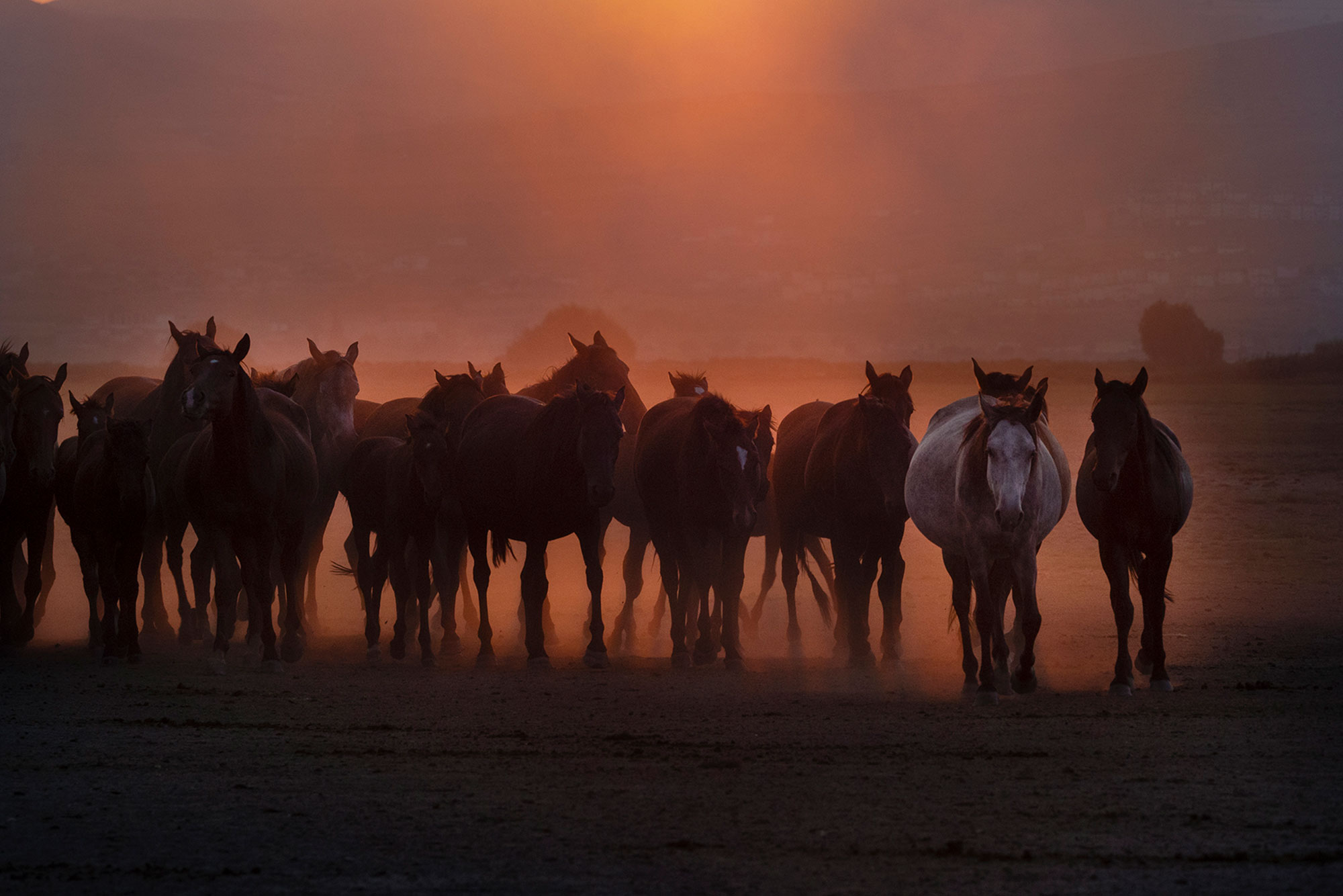 Chasing the light