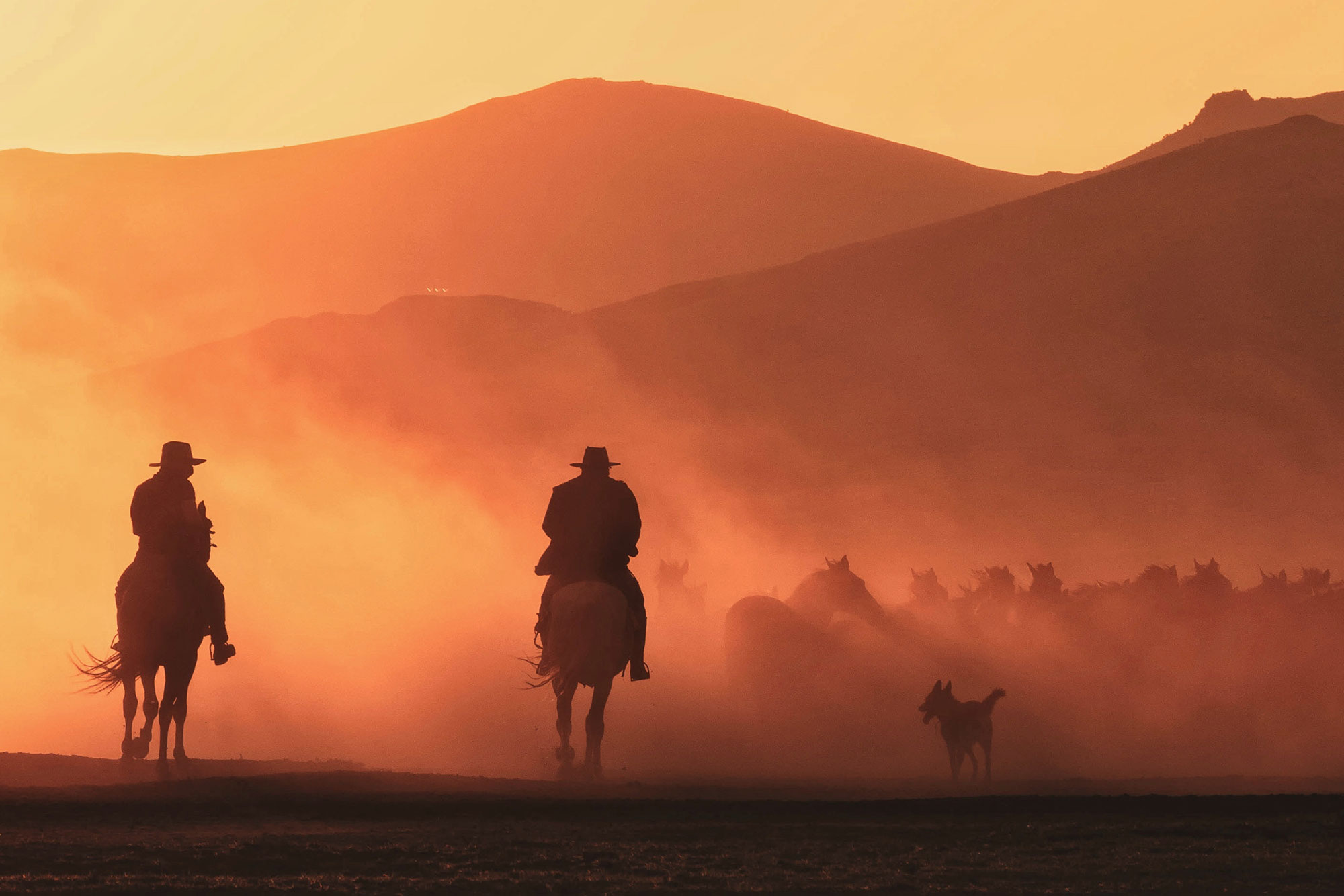 Photography as a perfect retirement companion