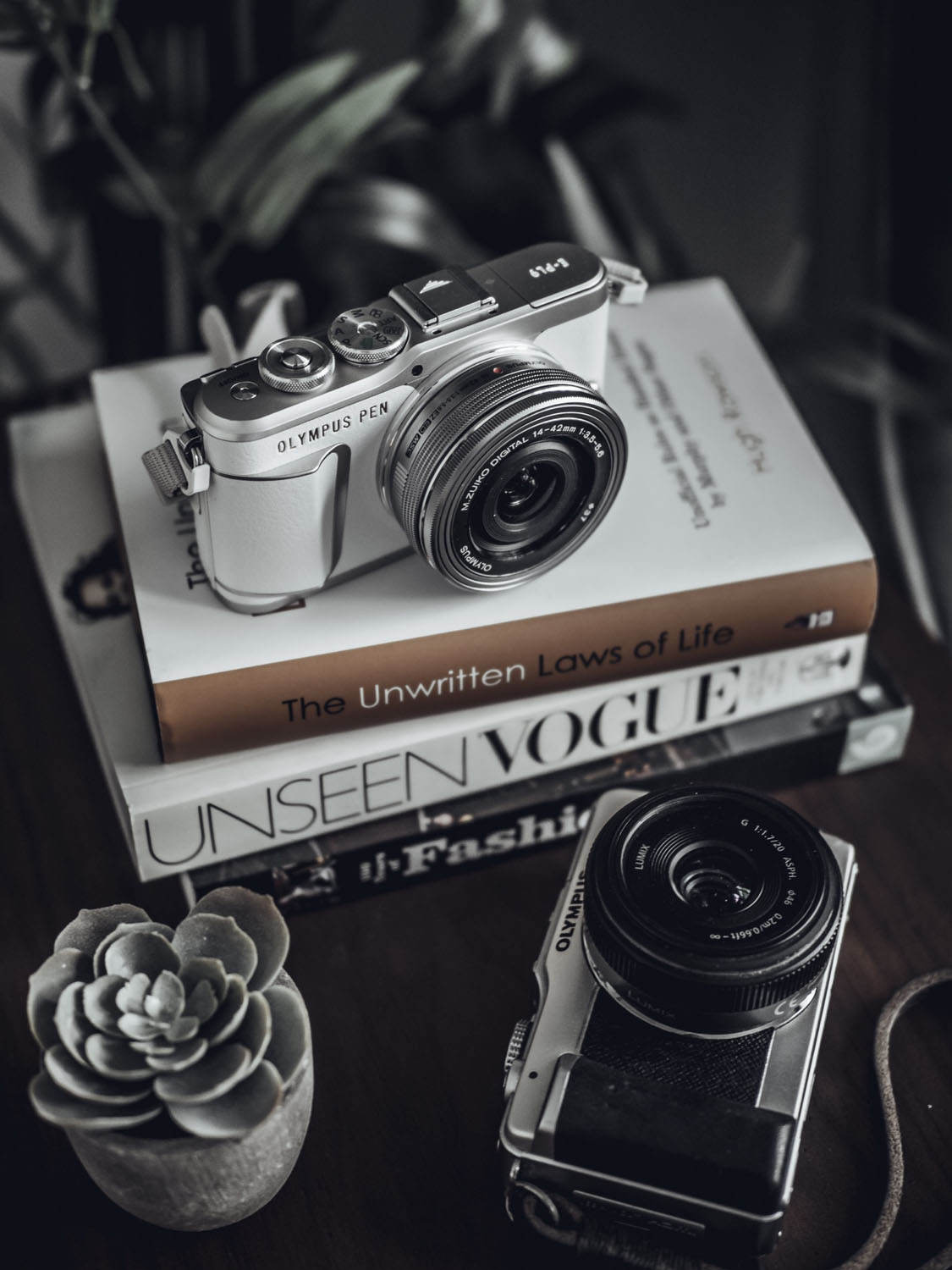 Review – Olympus PEN E-PL9