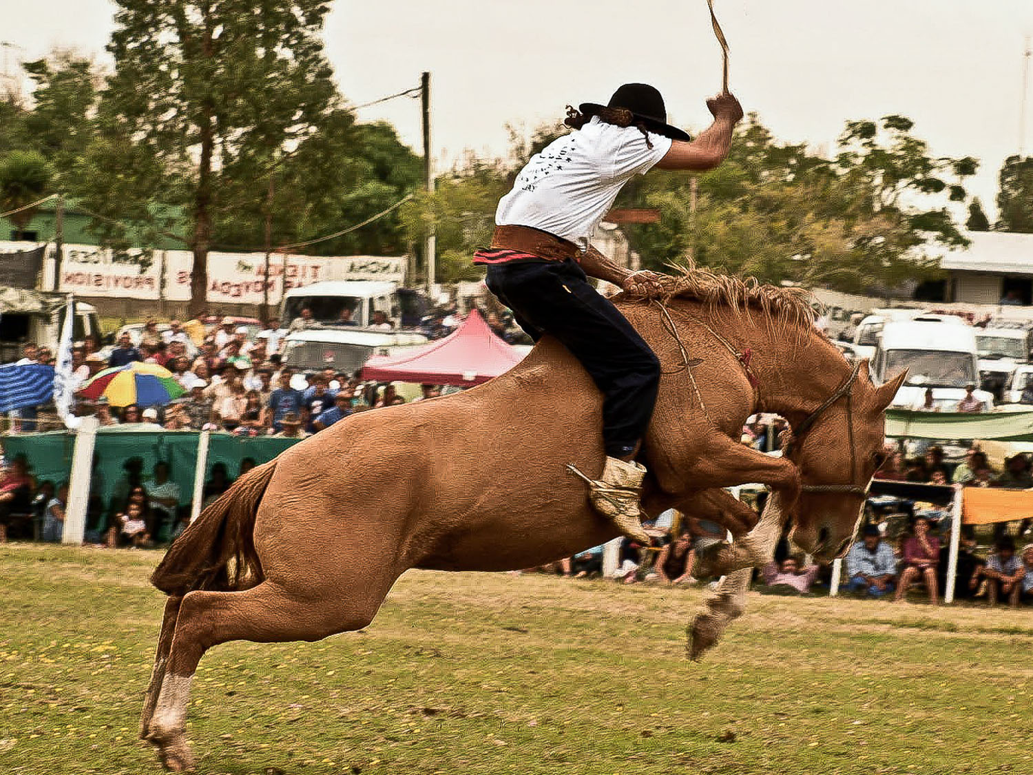 Being a Gaucho in Río de la Plata